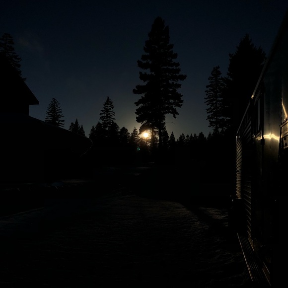 Meet your Posher, Cody - Picture 1 of 1